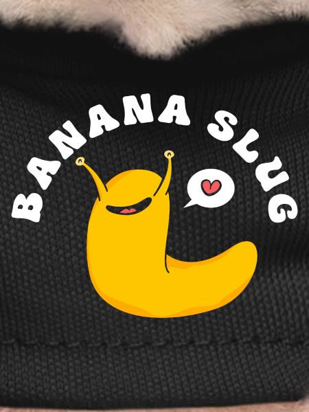 escargot banane
