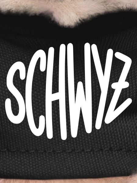 Swiss Graffiti Lettering