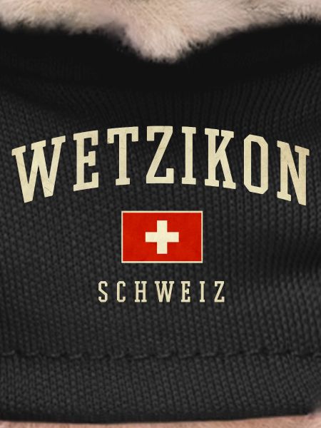 Wetzikon Switzerland Flag Logo