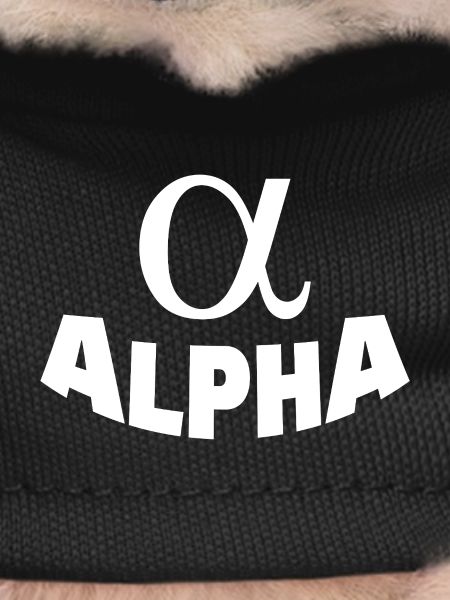 Alpha