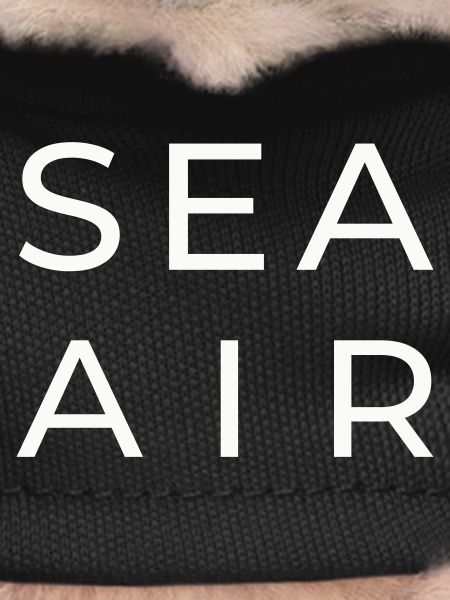 SEA AIR