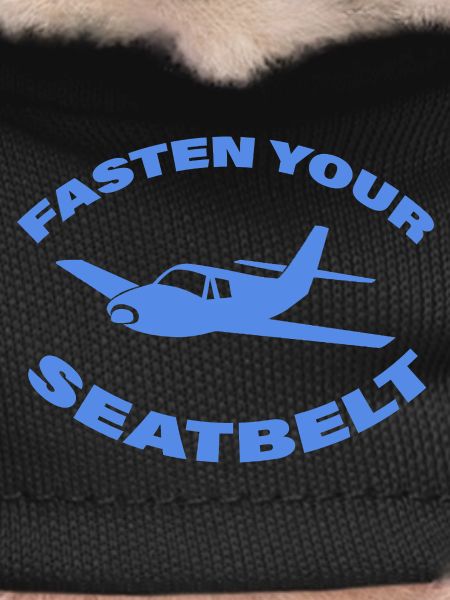 FASTING YOUR SEATBELT