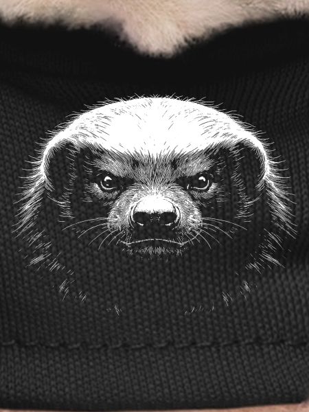 Honey badger