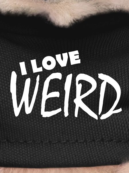 J’ADORE BIZARRE