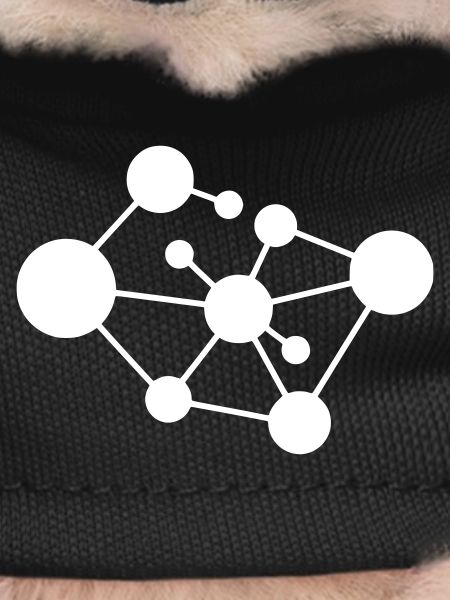 Molecule Network Connection