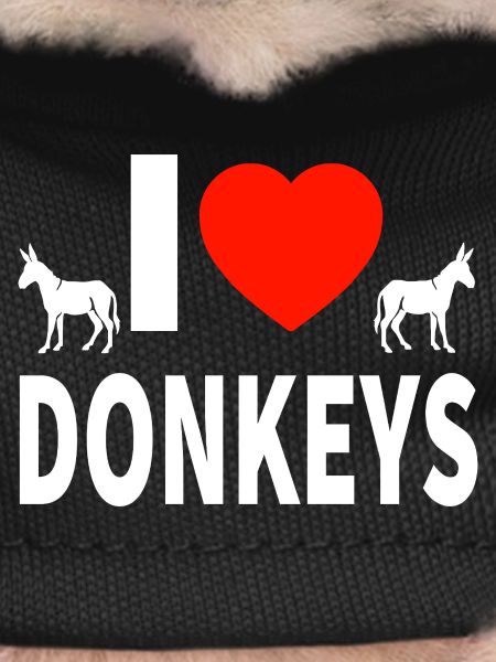 donkey