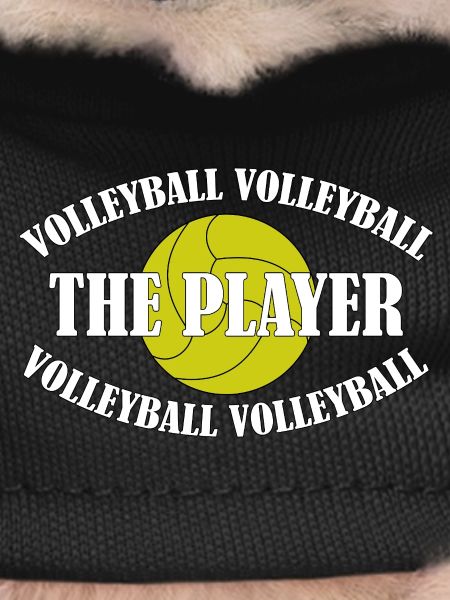 VOLLEYBALL-THE PLAYER