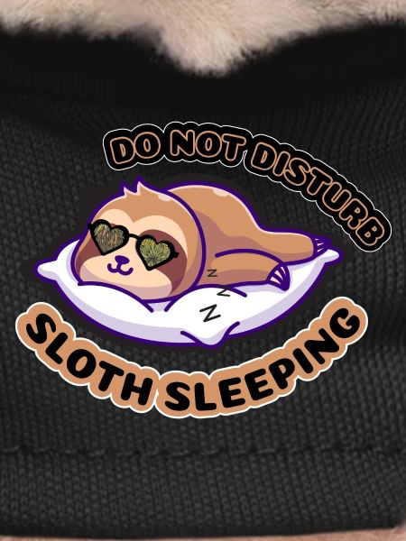 Do Not Disturb Sloth Sleep