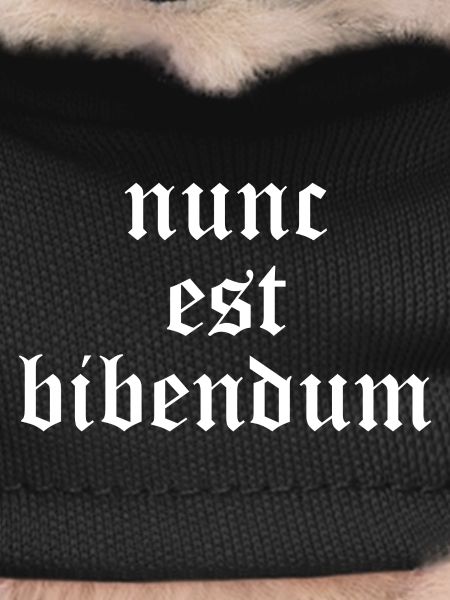 Nunc Est Bibendum