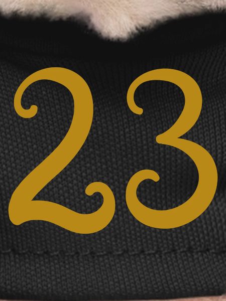 23