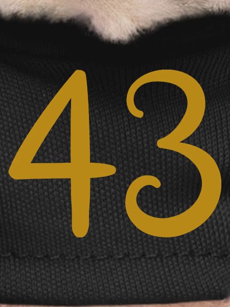 43