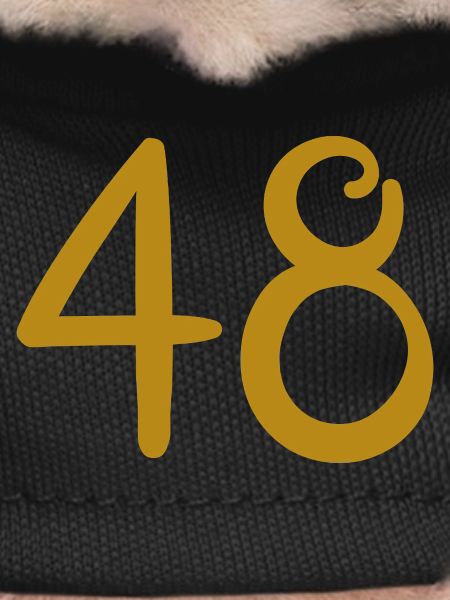 48