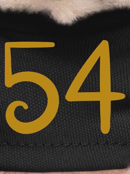 54