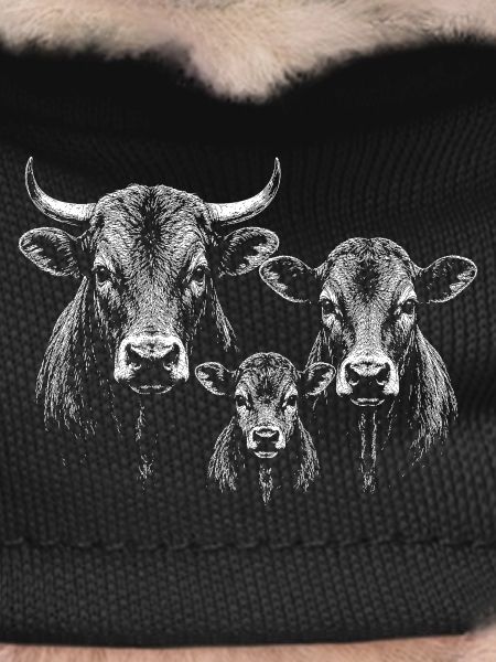 cattle