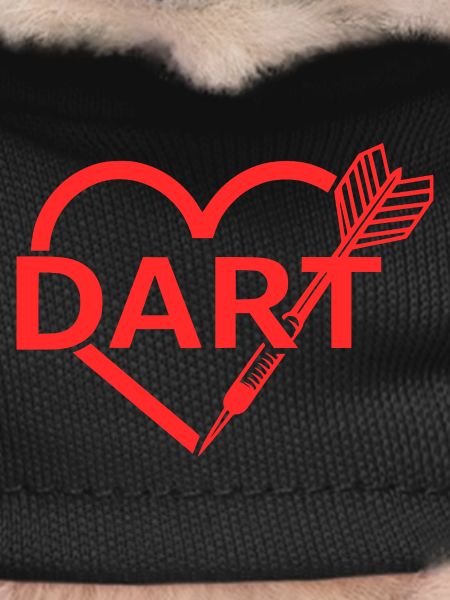 Dart Heart Dart Motif