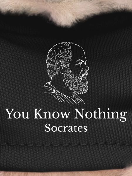Socrates You Know Nothing