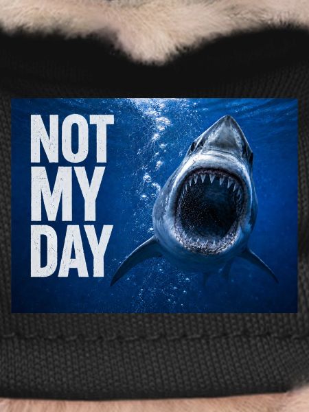 Hai Not My Day