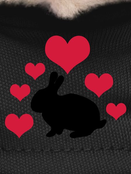 Rabbit with 6 hearts 2
