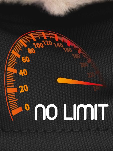 Speedometer - No Limit