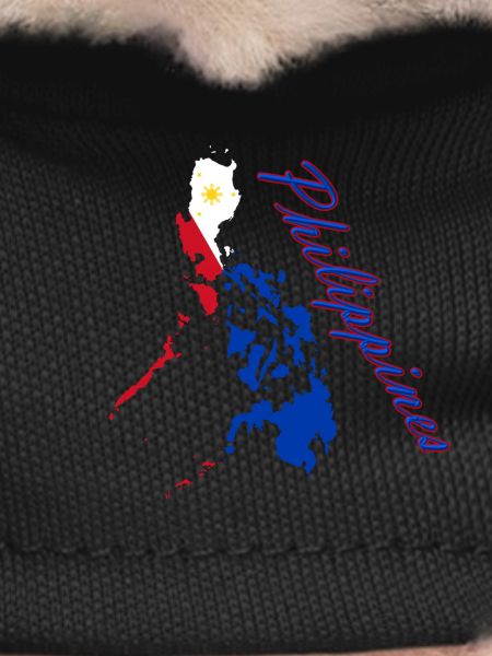 Philippines Flag Map Script