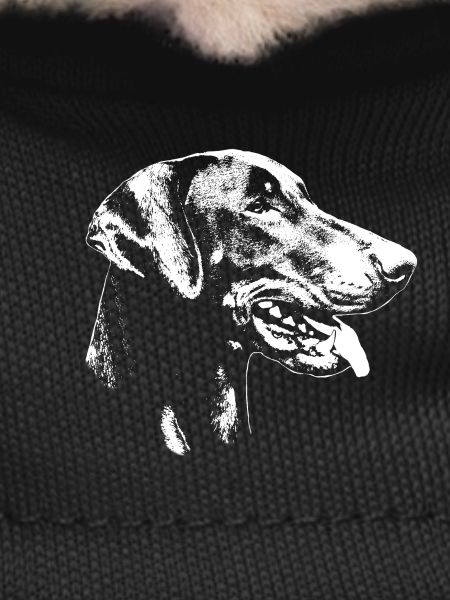 Dobermann Kopf