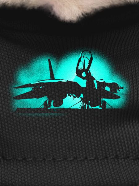 Jet F-14 Tomcat