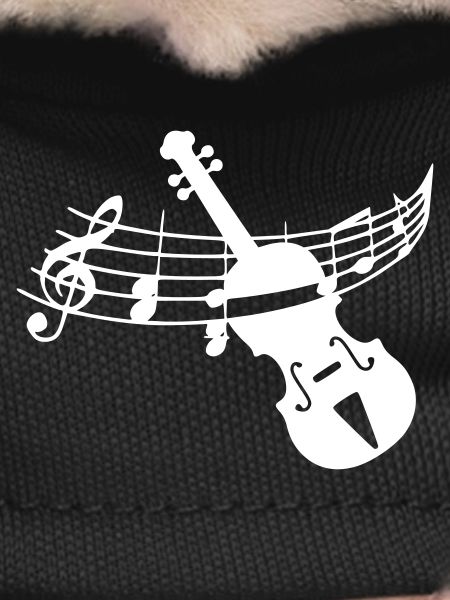 Violin violin