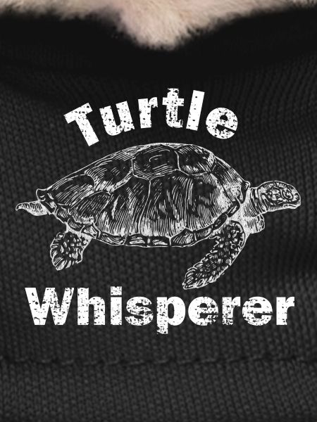 turtle