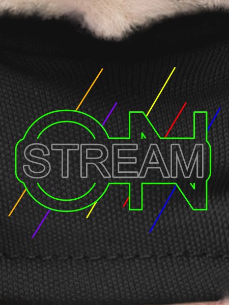 Stream on Live Streamer Gamer