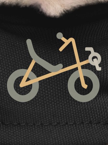 Recumbent Bicycle
