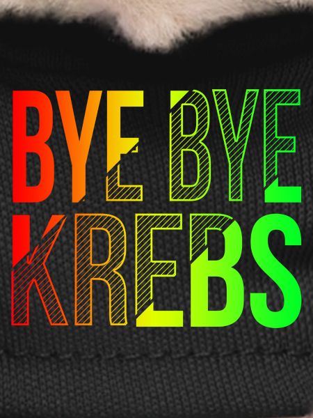 Bye Bye Kreps Rainbow Design