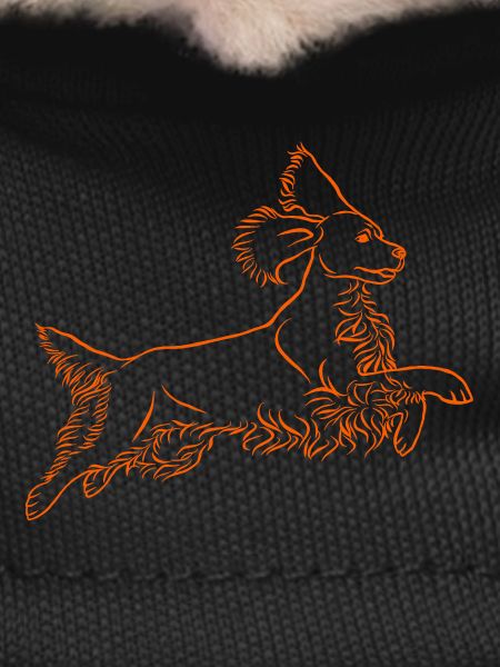 Springer Spaniel in orange