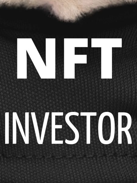 NFT investor