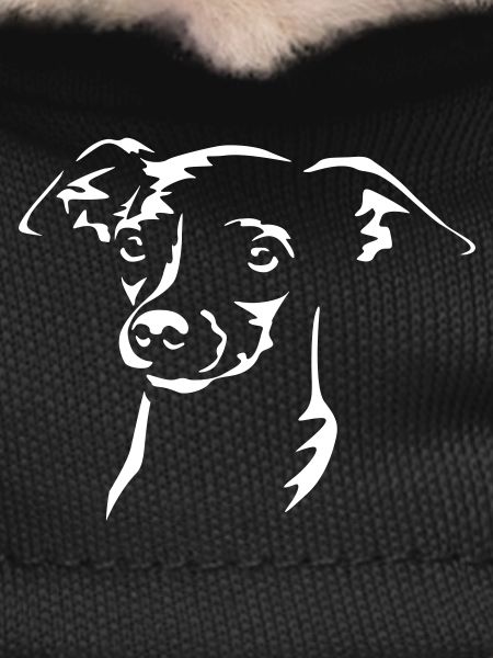 Zwergpinscher Head "Black Edition"