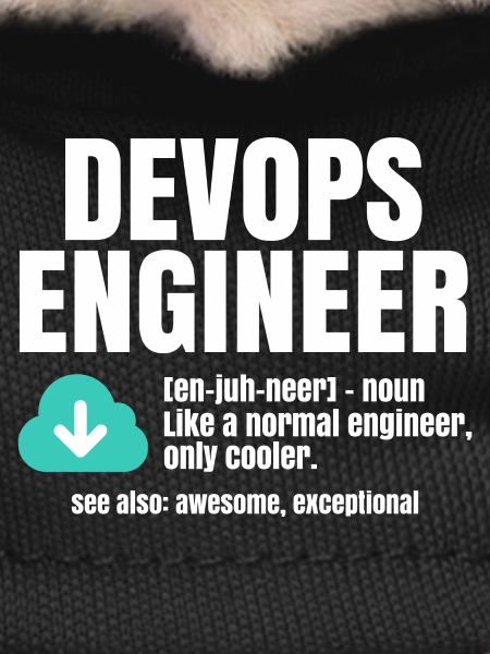 Ingénieur Devops