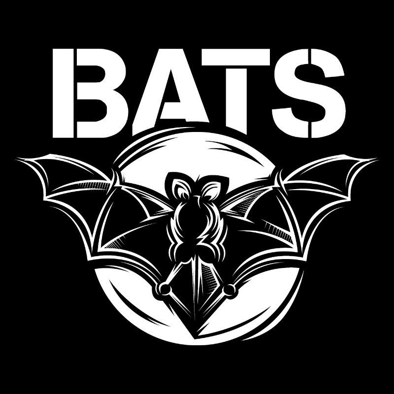 Bats bats symbol bat logo graphic