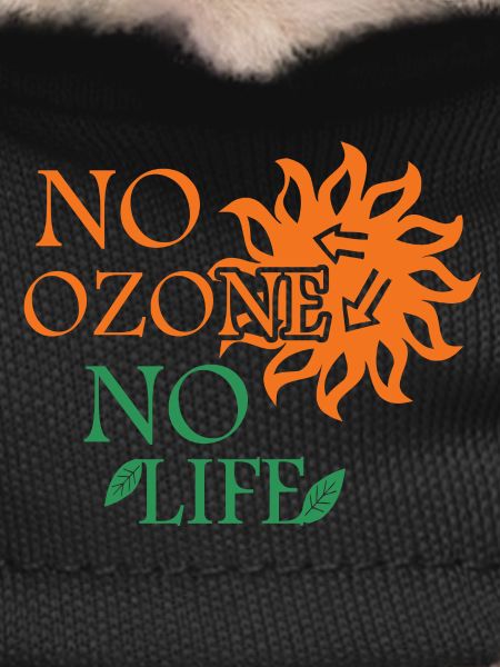 No ozone No life