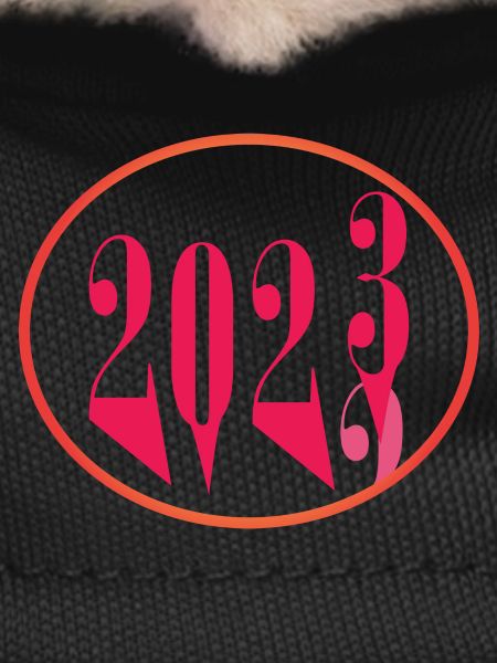 2022 2023
