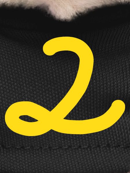 2 Number two number