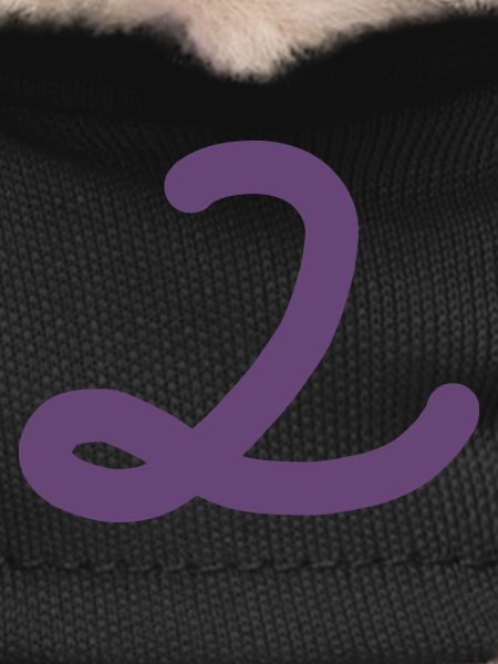 2 Number two number purple