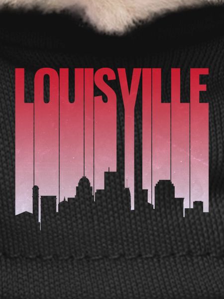 Louisville Skyline Gradient Silhouette