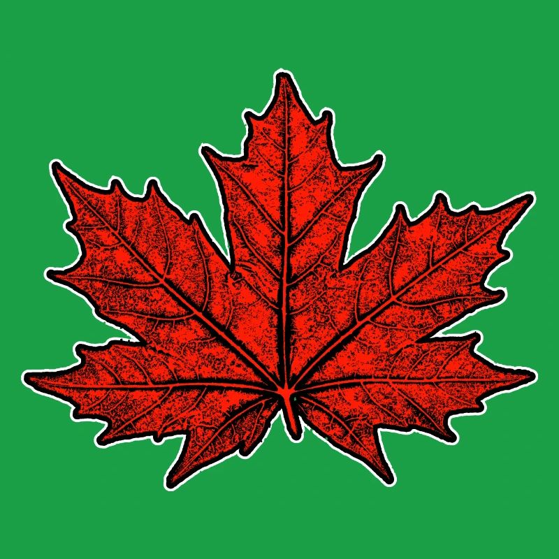 Maple / Leaf