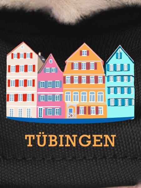 Tübingen, Neckar view, drawing, Germany