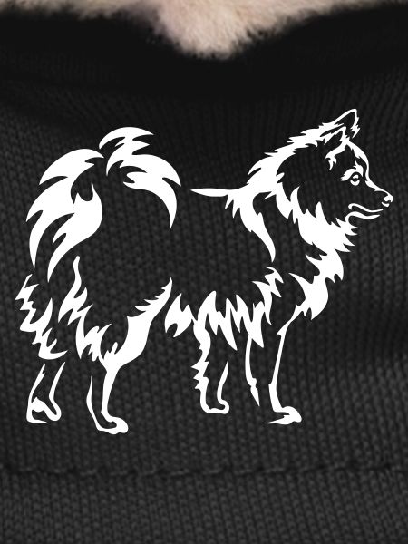 Spitz "Black Edition"