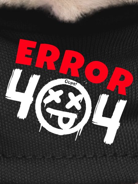 Error 404 Not Found