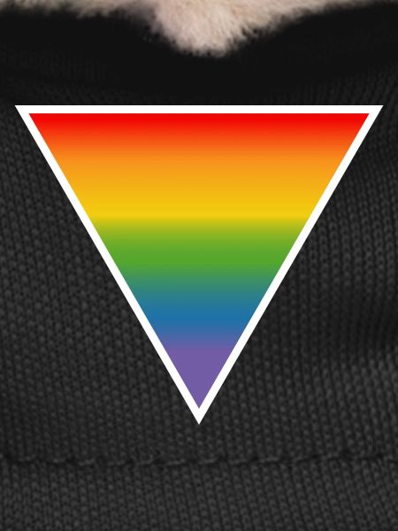 Rainbow LGBTQIA triangle white