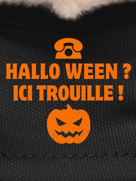 halloween, citrouille, phrase drôle