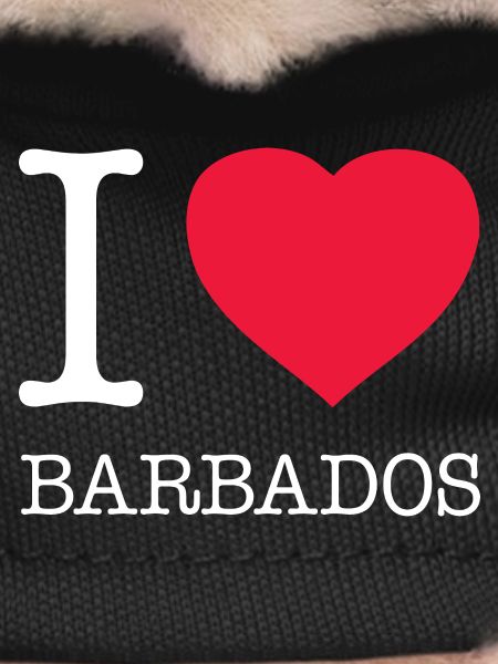 I LOVE BARBADOS