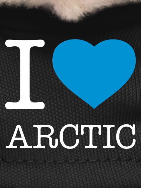 I LOVE ARCTIC