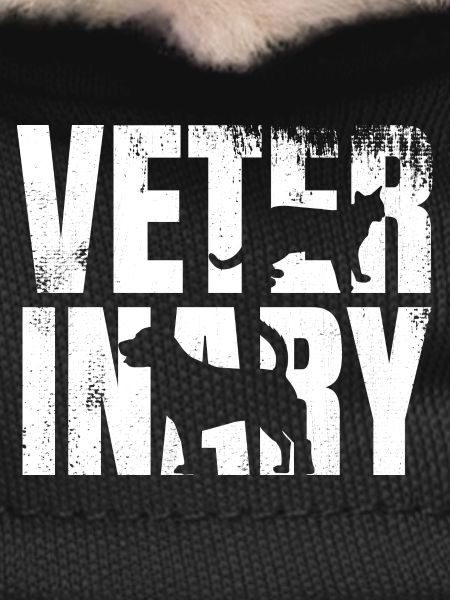 Funny Veterinarian